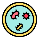 Bacteria,Culture,Lab,Petri dish,Virus